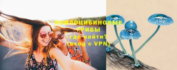 2c-b Медногорск