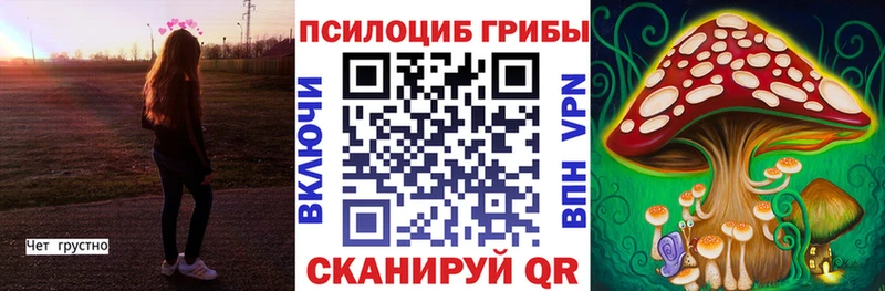 Галлюциногенные грибы прущие грибы  Курчалой 