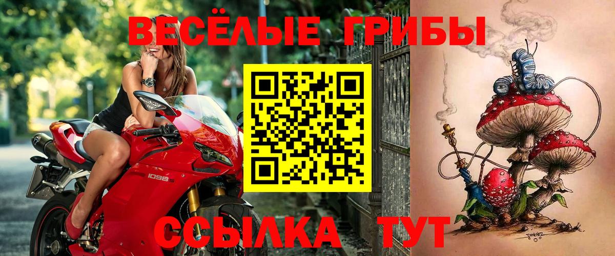 Псилоцибиновые грибы прущие грибы Курчалой