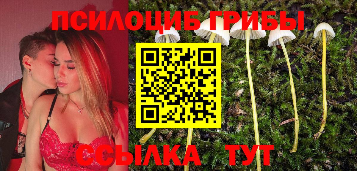 Псилоцибиновые грибы ЛСД  Вход с VPN  Курчалой  Галлюциногенные грибы MAGIC MUSHROOMS 